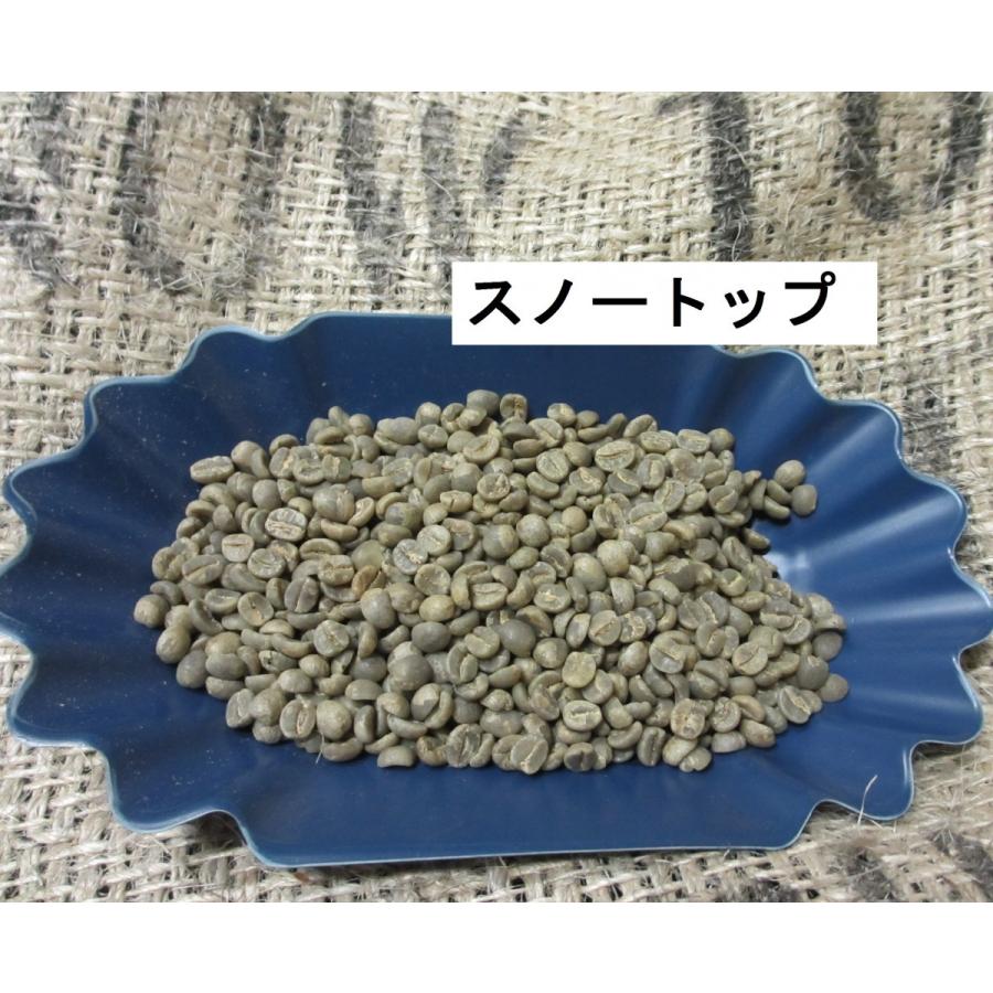 【コーヒー生豆】キリマンジャロ　タンザニア AA 10kg　 ※送料無料 楽天市場】コーヒー生豆 10kg キリマンジャロの通販