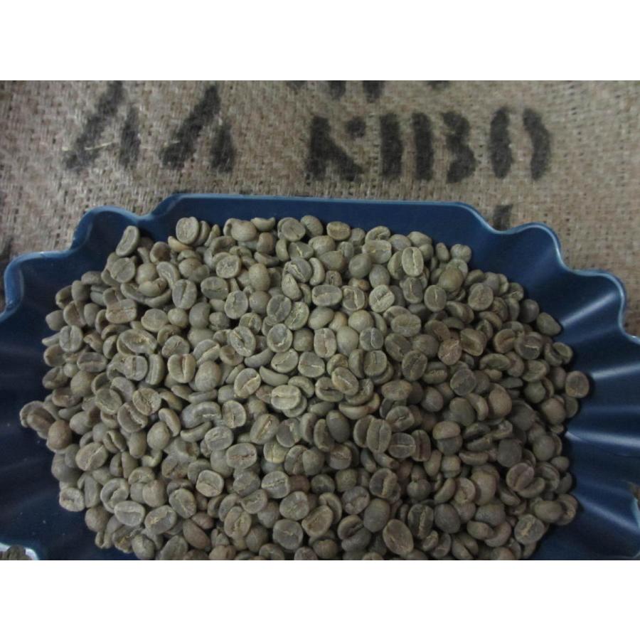 コーヒー生豆 選べるキリマンジャロAA 10kg ハローコーヒー