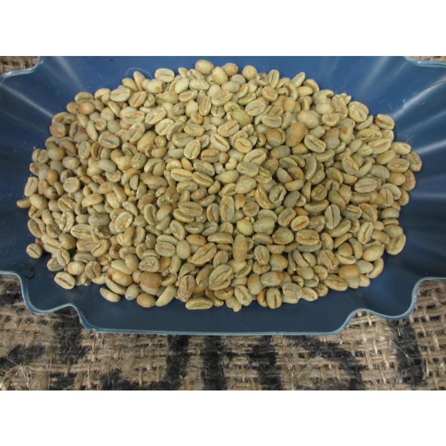 コーヒー生豆 エチオピア・モカ 選べる2kg ハローコーヒー : ハロー