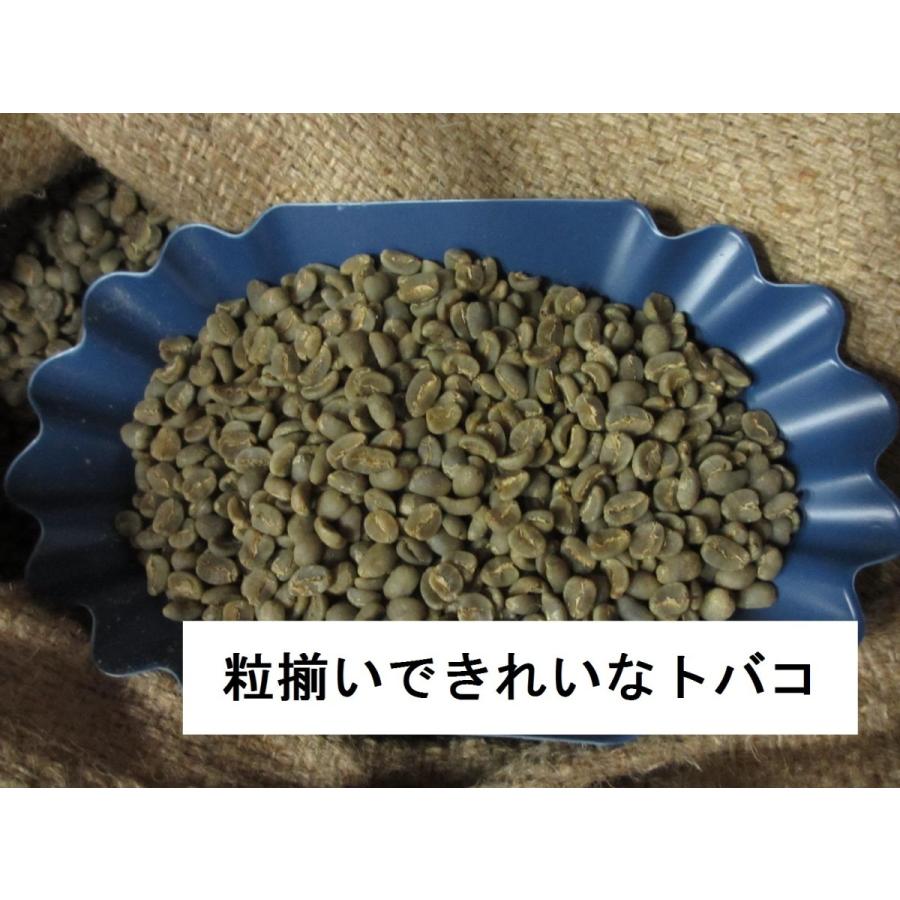 コーヒー生豆 選べるマンデリンG1 10kg(一袋詰め コーヒー生豆 選べるマンデリンG1 10kg(一袋詰め