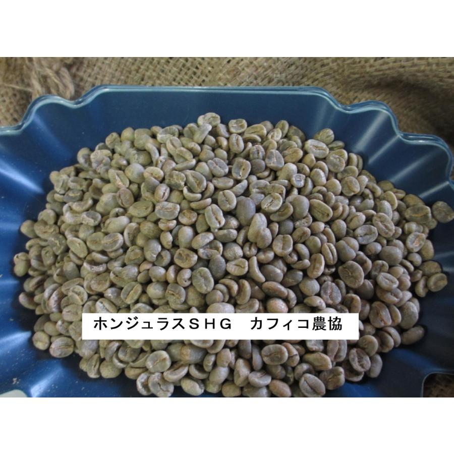 爆安!!【コーヒー生豆】ベトナム/ブラジル2種5kgづつ ※送料無料