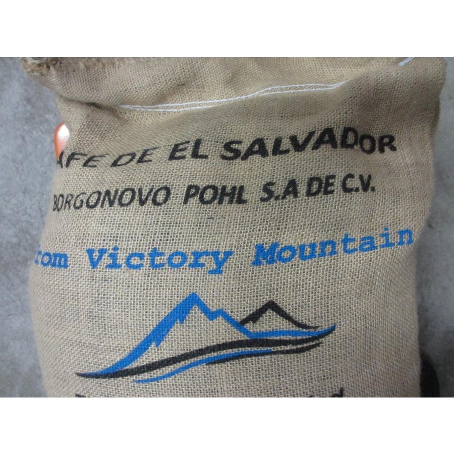 爆安!!【コーヒー生豆】特別3種/トータル10kg※送料無料 スペシャル