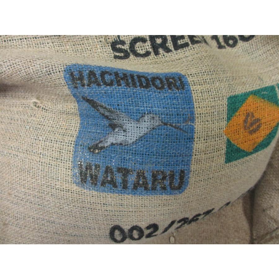 スペシャルグレード コーヒー生豆 よりどり10kg(2kgx5 スペシャルグレード コーヒー生豆 よりどり10kg(2kgx5