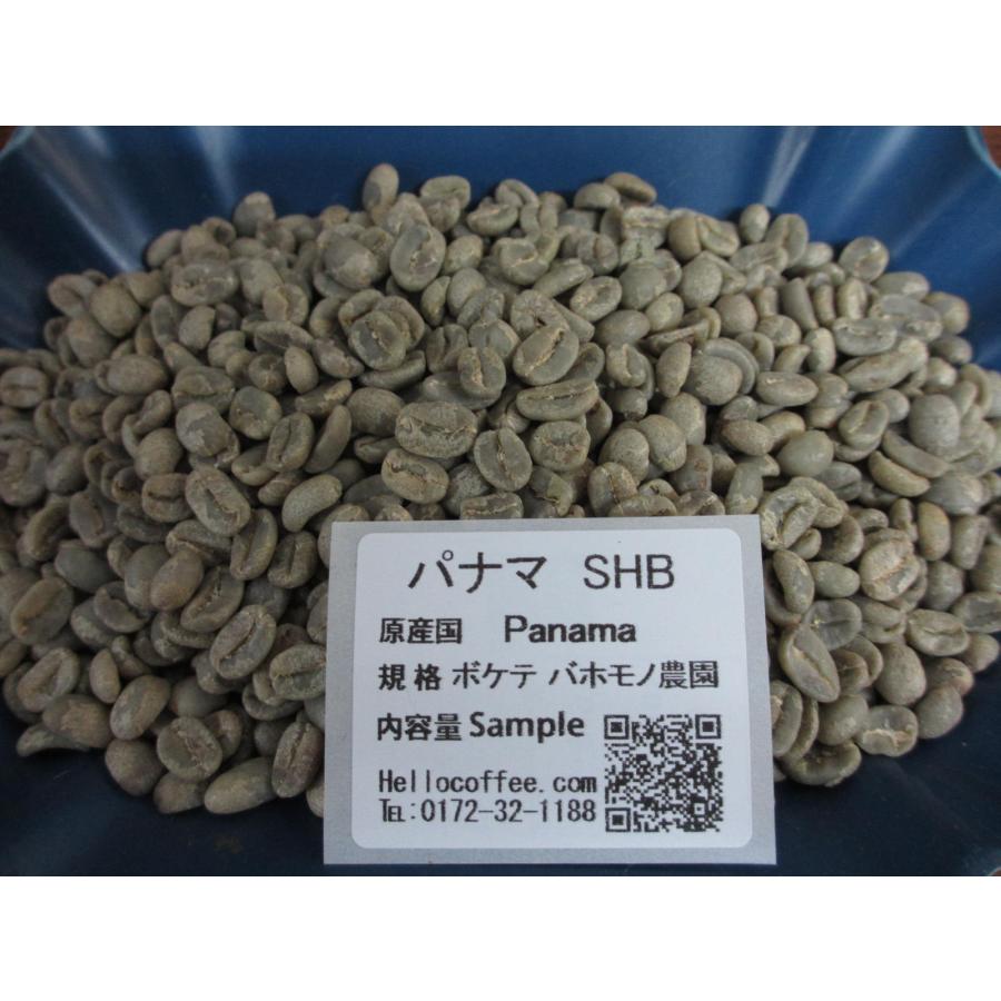 ハローコーヒー 生豆 スペシャルグレード 1品10kg詰め 12品目