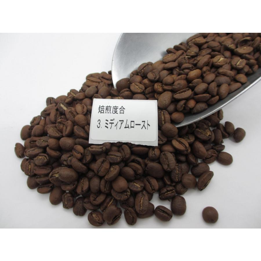 ハローコーヒー【スペシャルブレンドII 500g×2袋】珈琲豆 自家焙煎 人気コーヒー 焙煎度合 飲み比べ 豆 挽き方も選べる お得なセット 送料無料 :3680105:ハローコーヒープロショップ - 通販 - Yahoo!ショッピング ハローコーヒー【スペシャルブレンドII 500g×2袋】珈琲豆 自家焙煎 人気コーヒー 焙煎度合 飲み比べ 豆 挽き方も選べる お得なセット 送料無料 :3680105:ハローコーヒープロショップ - 通販 - Yahoo!ショッピング