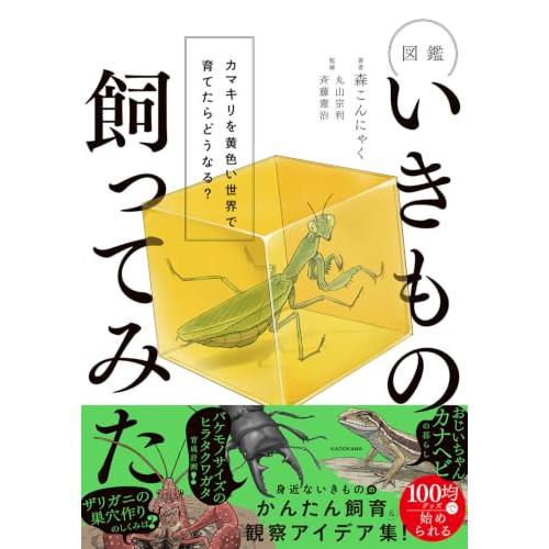 図鑑いきもの飼ってみた カマキリを黄色い世界で育てたらどうなる? | 