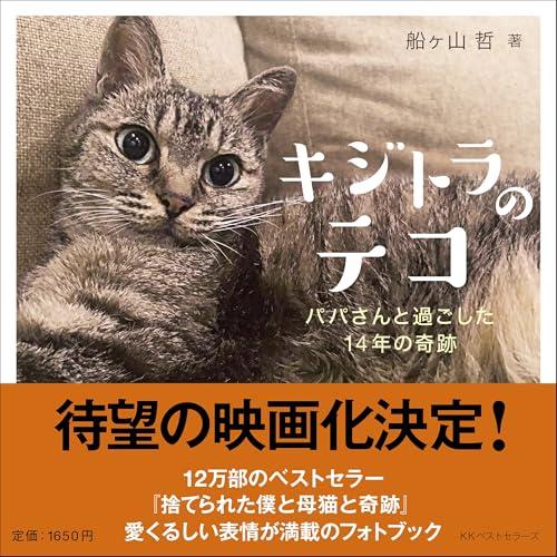 キジトラのテコ　パパさんと過ごした14年の奇跡 | 