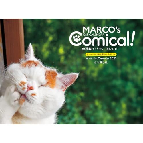 カレンダー2027 MARCO's CAT CALENDAR Comical！ 保護猫チャリティーカレンダー（月めくり/壁掛け/ねこ こねこ） | 