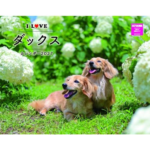 I LOVE ダックスカレンダー 2027 （月めくり/壁掛け）(ネコ・パブリッシング) (カレンダーシリーズ) | 