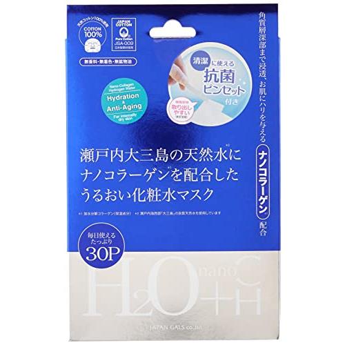 H+nanoCマスク 30枚入り | 