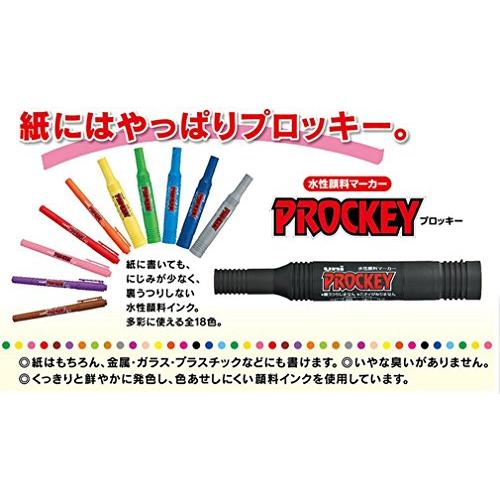 三菱鉛筆 水性サインペン プロッキーツイン 極細+細字 10色 PM120T10CN |  | 01