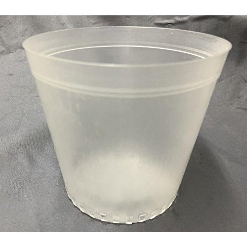 半透明 プラ鉢 12ｃｍ １0個 | 