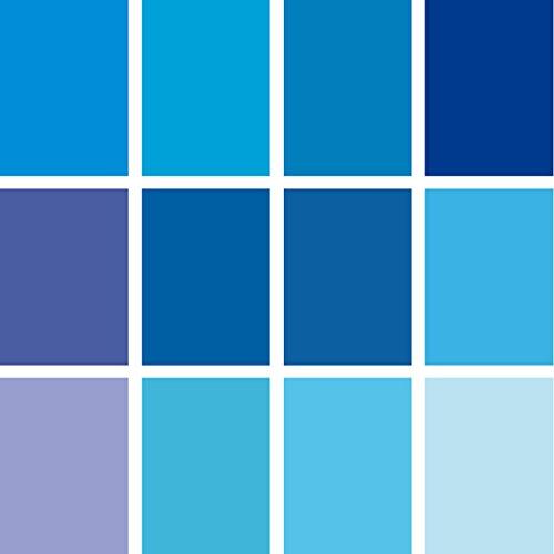 トーヨー折り紙068002タント12カラーBL（青系） |  | 01