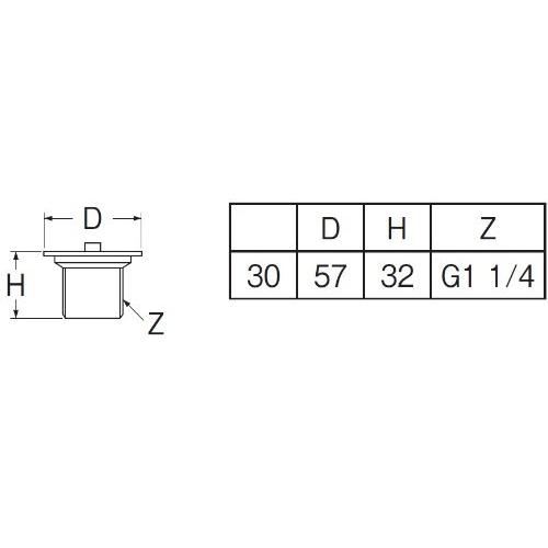 SANEI(サンエイ) ゴム栓付き風呂栓 ネジ付き H21-30 呼び30 |  | 01