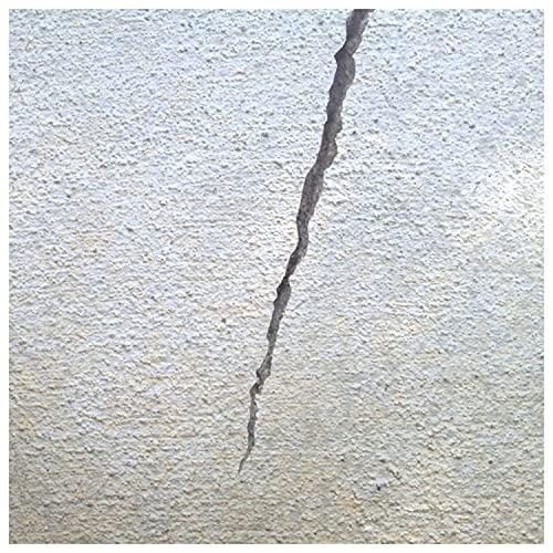 建築の友 コンクリートのヒビふさぎ CF-02 |  | 01