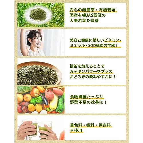 山本芳翠園 こだわり青汁 グリーンマウンテン 2.5gx30包入り |  | 01