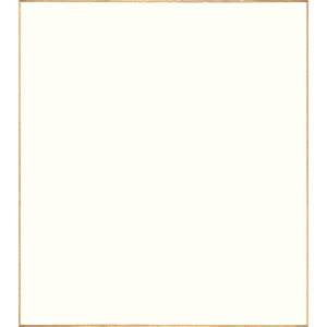 サイン色紙 小色紙 182×212mm まる松 SK001 サイン用 イラスト用 にじまない 10枚パック |  | 01