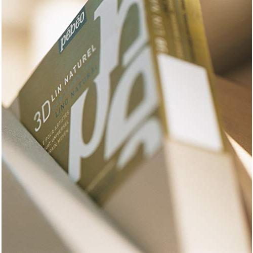 ぺべオ 立体キャンバス リネン3Dキャンバス 20X20CM 1P |  | 01