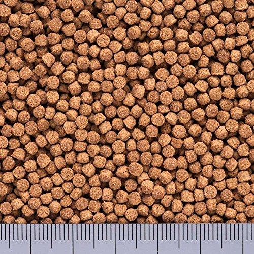 Hikari (ヒカリ) カメプロス 沈下性 小ペレット120g (x 1) |  | 01