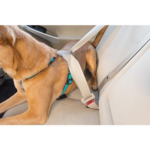 PetSafe（ペットセーフ） 3in1ハーネス 犬用 引っ張り防止 ドライブ対応 トレーニング用【ブラック Mサイズ】 |  | 01