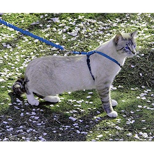 PetSafe（ペットセーフ）イージーウォーク ネコ用ハーネス＆バンジーリード 猫用ハーネス リードセット 散歩用 脱げにくい 安全設計【ロイヤ |  | 01