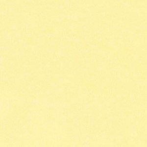 ナイロン用補修シート 7cm×30cm 撥水処理をしたシールタイプ (透明（艶有り）) |  | 01