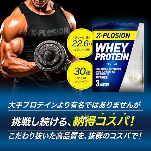 エクスプロージョン プロテイン 3kg ホエイプロテイン メロン味 WPC X-PLOSION 日本製造 |  | 01