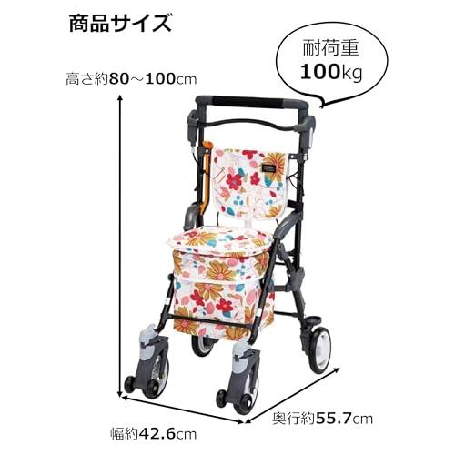 CB-15FL スルーンボックスSP フロール |  | 01