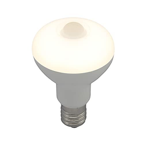 LED電球 レフランプ形 E17 40形相当 人感・明暗センサー付 電球色_LDR4L-W/S-E17 9 06-3413 | 