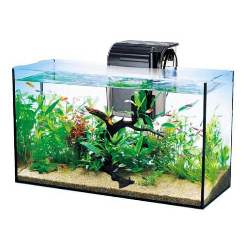 テトラ (Tetra) 水槽 オールグラスアクアリウム GA-520F 水槽 アクアリウム 熱帯魚 メダカ 金魚 |  | 01