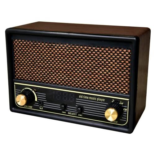 FESCO 唱歌ラヂオ DX100 AM/FMラジオ付き音楽プレイヤー SRDX-001 | 