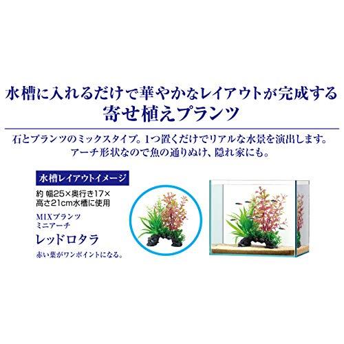 GEX ジェックス 癒し水景 MIXプランツ ミニアーチ レッドロタラ 水槽用オーナメント 魚がくぐれるアーチ型人工水草 |  | 01