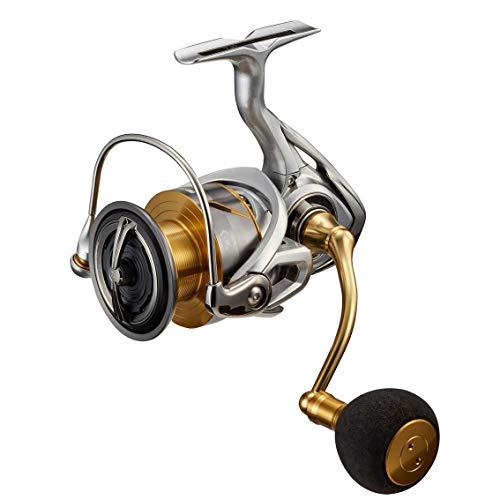 ダイワ(DAIWA) 21 フリームス LT5000-CXH | 