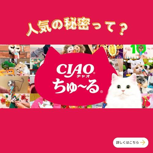 チャオ (CIAO) ちゅ~る 乳酸菌入り バラエティ 40本 猫用おやつ |  | 01