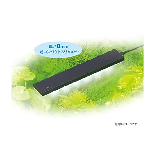 ジェックス GEX クリアLED フラッティ ブラック スリム高輝度LED 40cm以下水槽 |  | 01
