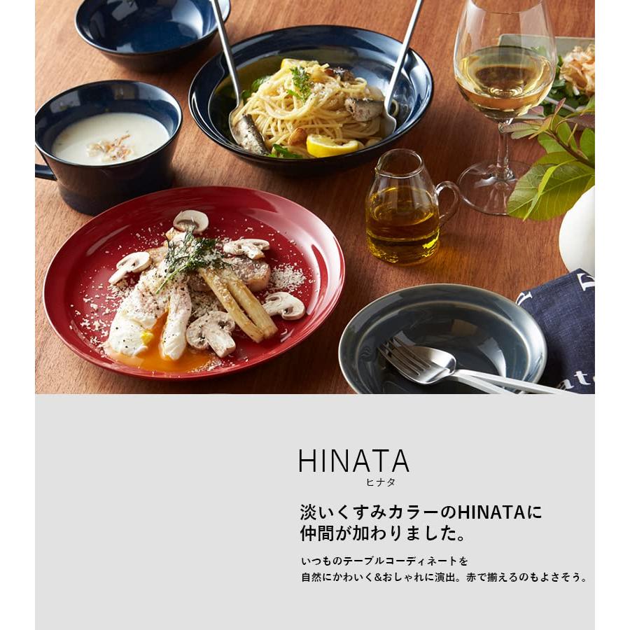 HINATA ヒナタ カレー&パスタ ネイビー 直径21×高さ4.6cm T-942123 |  | 01