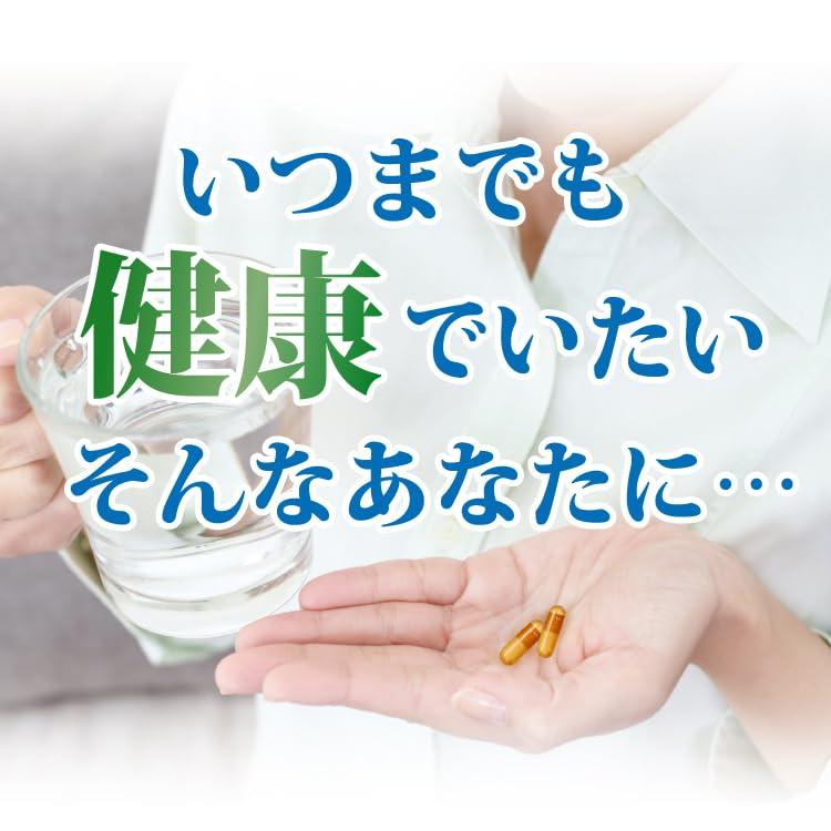 彩々凛 ささりん 180粒 宮崎血流研究所 ルンブルクス ミミズ酵素 ビタミンB1 ルンブルクス末 ニンニク末などを主成分 サプリメント |  | 01