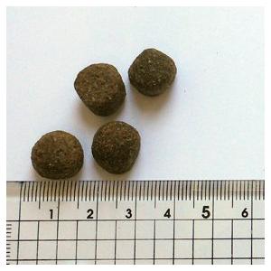 ブラックウッド ドッグフード 1000 チキン 20キログラム (x 1) ドッグフード