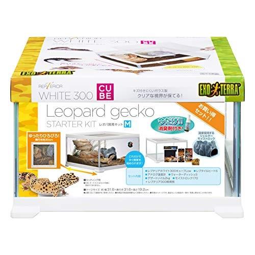 ジェックス レオパ飼育キット 爬虫類用ガラスケージ ヒーター付 W31 6 D31 6 19 2cm Apaproduction Fr