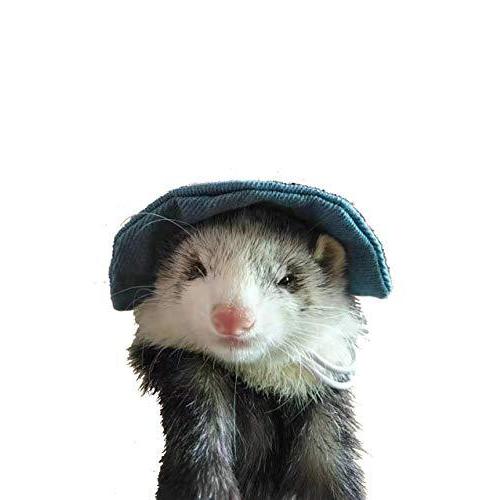 超安い Fulue 超かわいい 小動物 ペット フェレットモモンガ シマリス用 ぼうし 帽子 Shipsctc Org