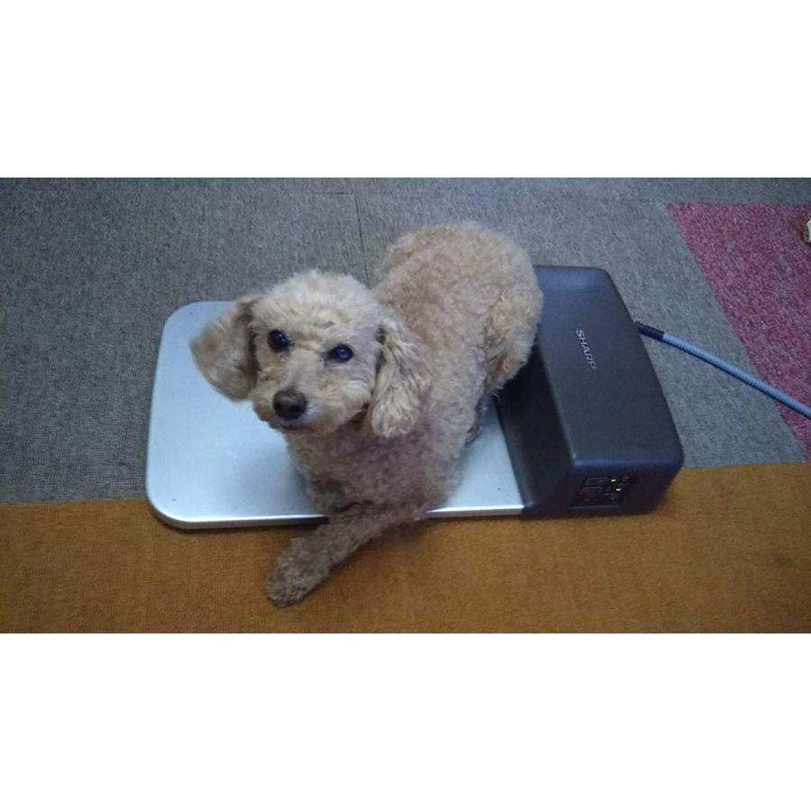 シャープ 冷暖プレート シャープ 冷暖プレート