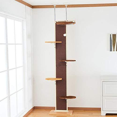 ボンビアルコン (Bonbi) キャットウォーク モダン