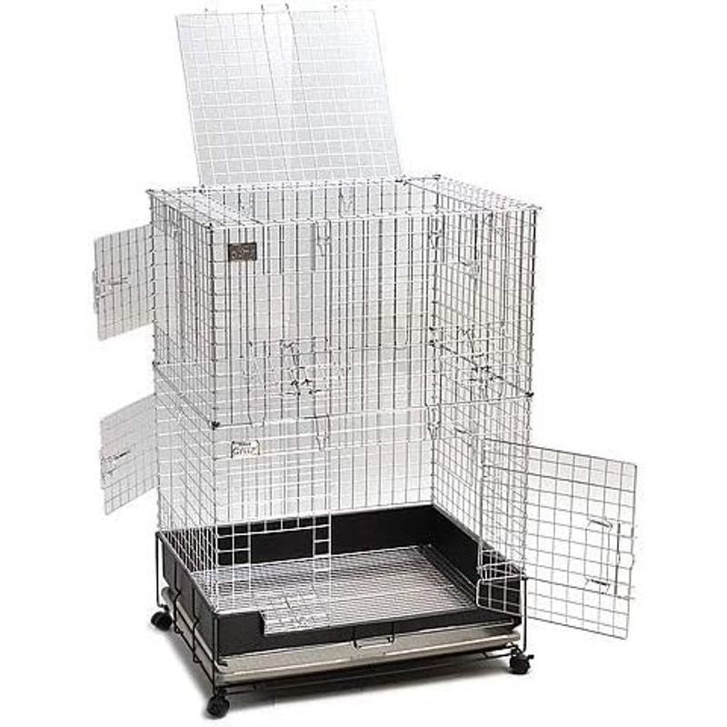 コンフォート60 チンチラスペシャル コンフォート60 チンチラスペシャル