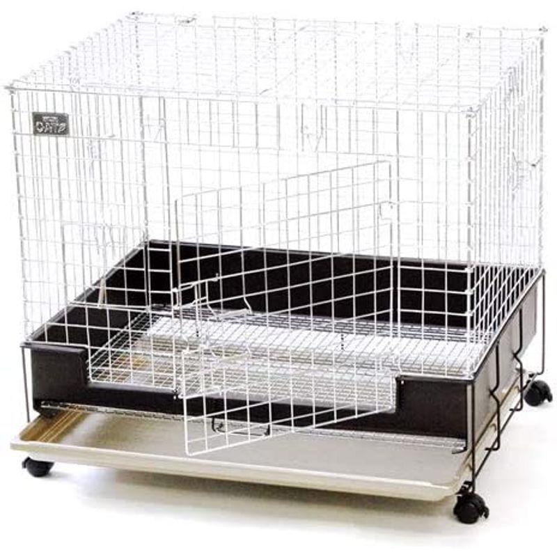 コンフォート60 チンチラスペシャル コンフォート60 チンチラスペシャル