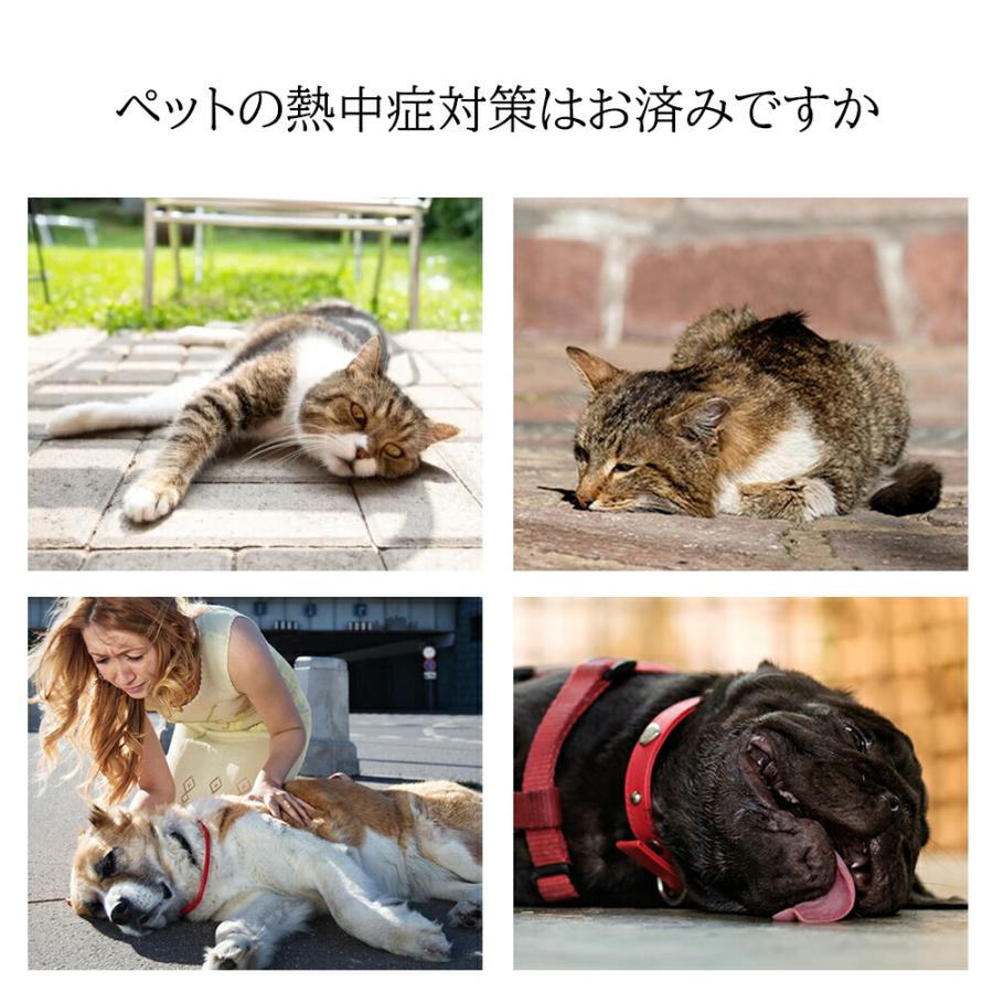 ペットハウス 夏用 ひんやり 冷感 接触冷感 クールベッド ペットベッド 犬 猫 室内 通気 涼しい マット 犬用ベッド 猫ベッド 小型犬 中型犬 ペット用品 |  | 04