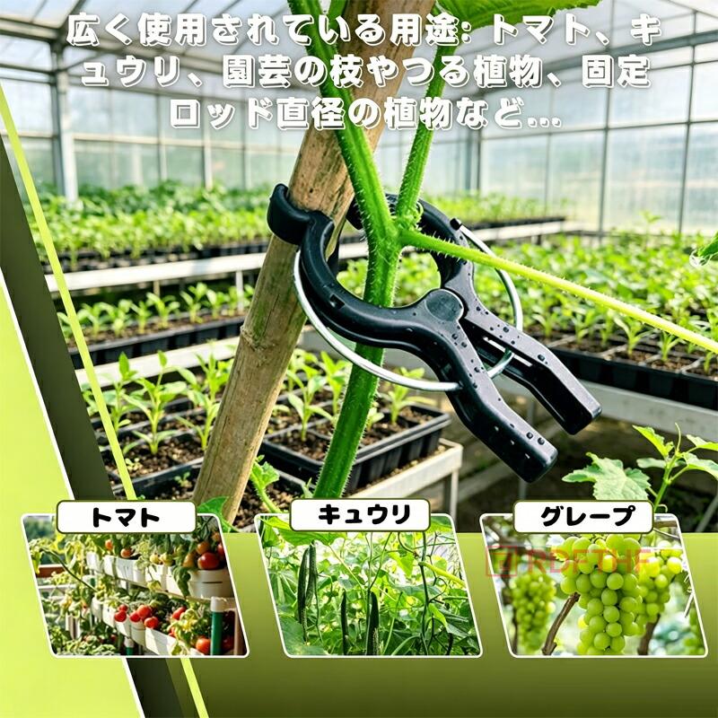 誘引クリップ 40個セット 園芸用 支柱固定 つる植物 曲げ防止 接木用