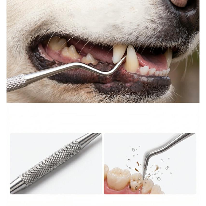 犬 歯ブラシ キレぴか 本植毛が強力洗浄  柔らかく歯茎に優しい 犬用 小型犬 歯みがき きれぴか キレピカ 犬の歯ブラシ 食品グレード 抗菌素材 強力洗浄 |  | 04