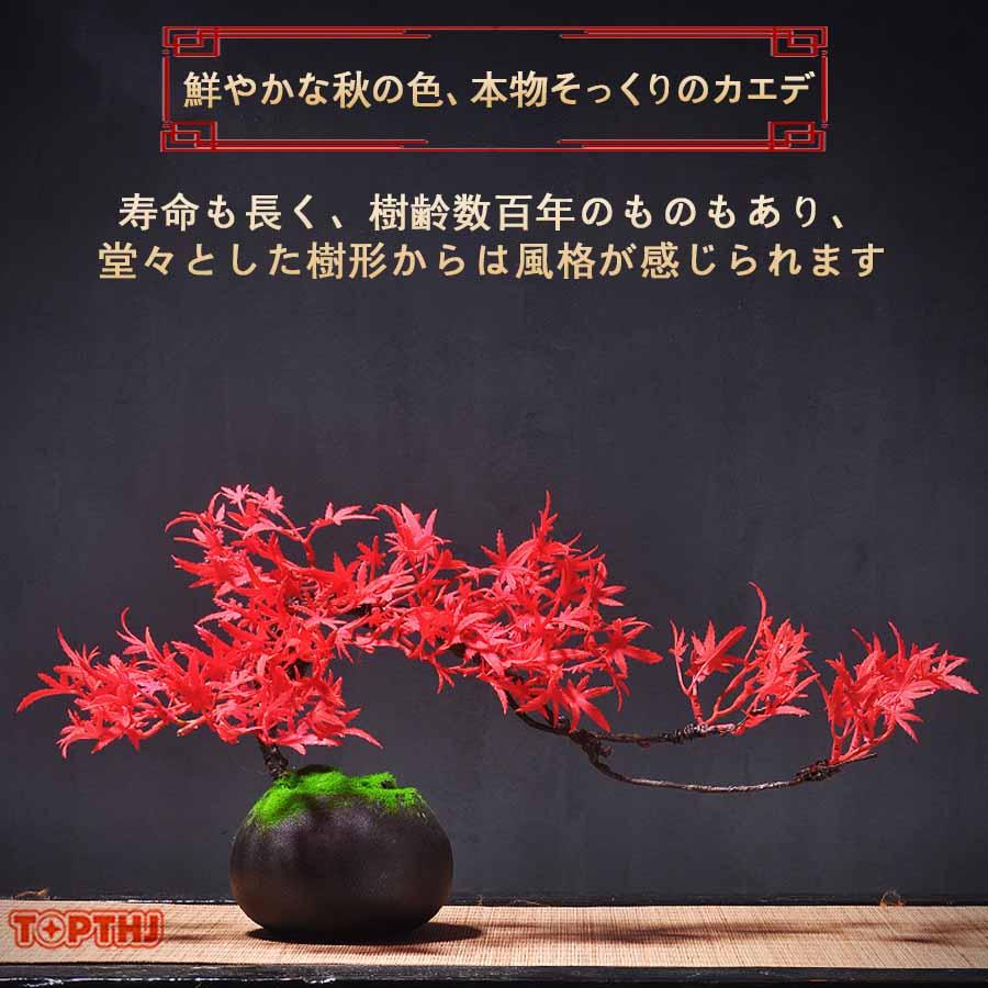 フェイク グリーン 卓上 フェイクグリーン 陶器 人工樹木 盆栽 松 人工 松の木 もみじ 人工紅葉 カエデ 現代風 フラワーポット 人工観葉植物鉢 癒し デザイン |  | 05