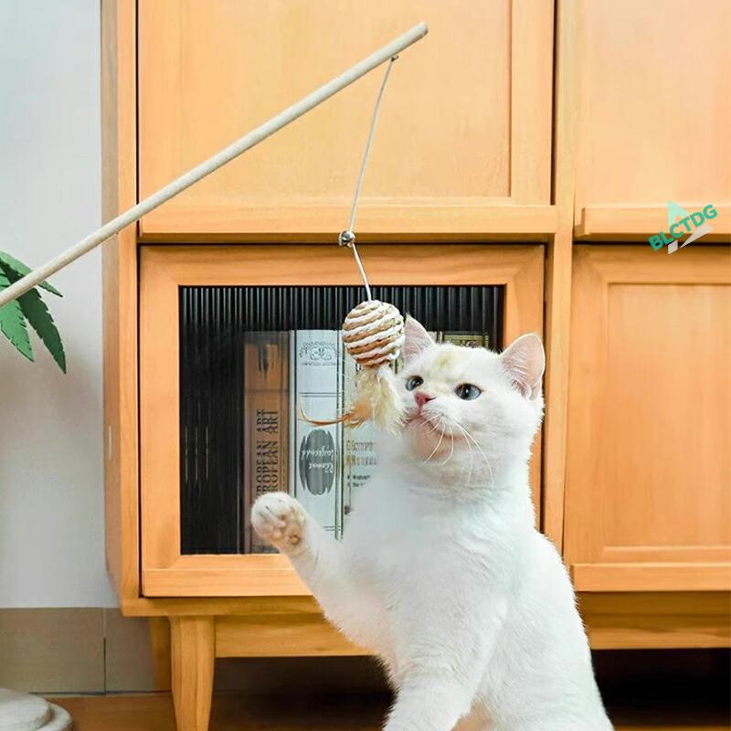 猫じゃらし 天然 猫 おもちゃ 4本セット 2本セット 噛むおもちゃ 安全 安心 一人遊び 猫のおもちゃ 留守番 猫のおもちゃ 人気 頑丈 猫 鈴付き 釣り竿 頑丈 ねこ |  | 10