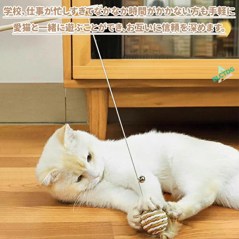 猫じゃらし 天然 猫 おもちゃ 4本セット 2本セット 噛むおもちゃ 安全 安心 一人遊び 猫のおもちゃ 留守番 猫のおもちゃ 人気 頑丈 猫 鈴付き 釣り竿 頑丈 ねこ |  | 03